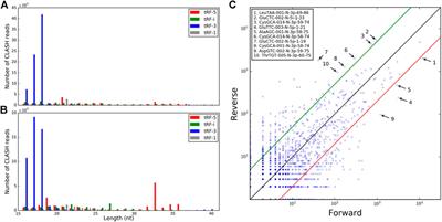 Large-Scale Computational Discovery of Binding Motifs in tRNA Fragments